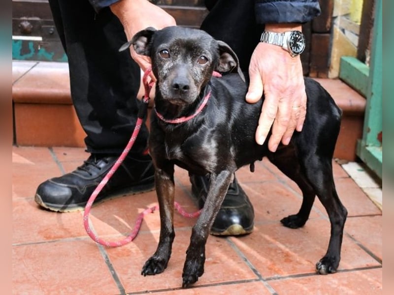 Ivonelle - Wenn Jahre dreifach zählen