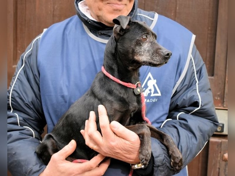 Ivonelle - Wenn Jahre dreifach zählen