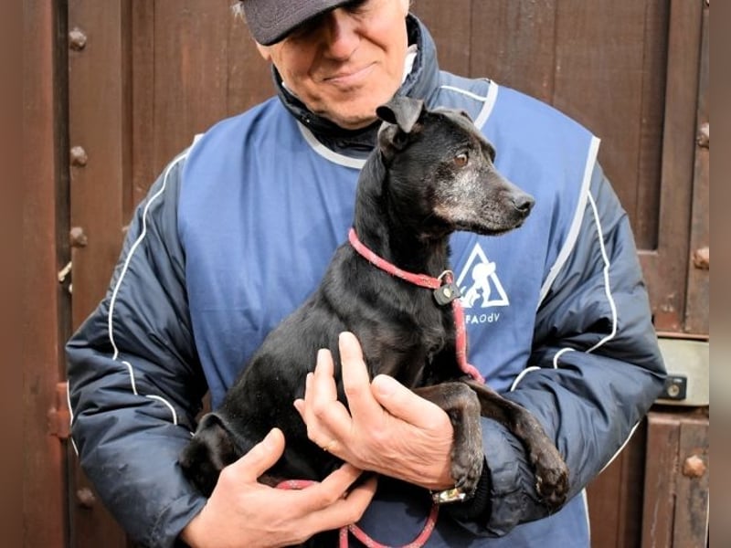 Ivonelle - Wenn Jahre dreifach zählen