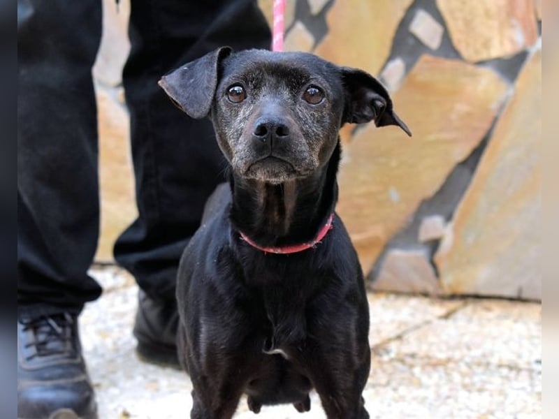 Ivonelle - Wenn Jahre dreifach zählen