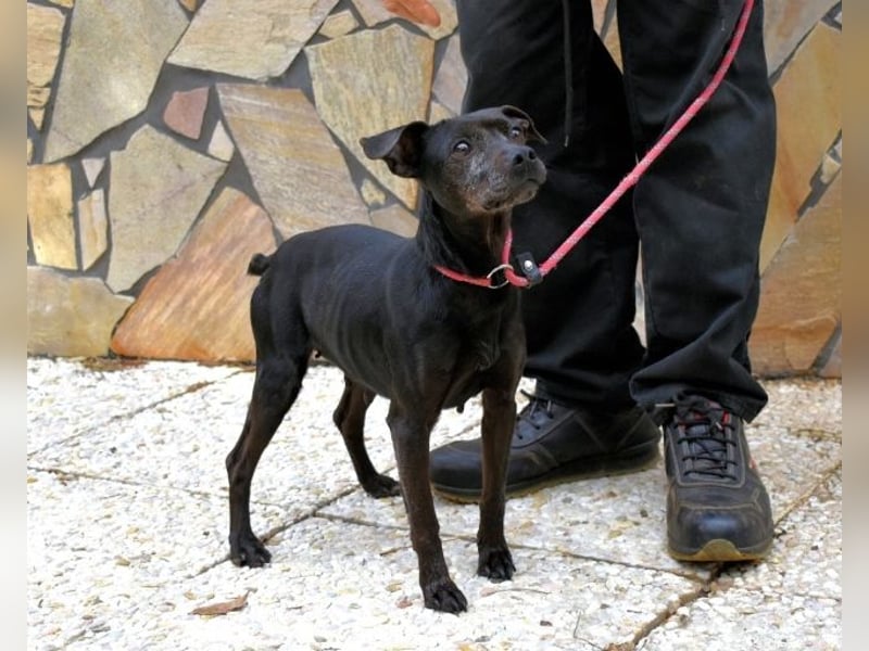 Ivonelle - Wenn Jahre dreifach zählen