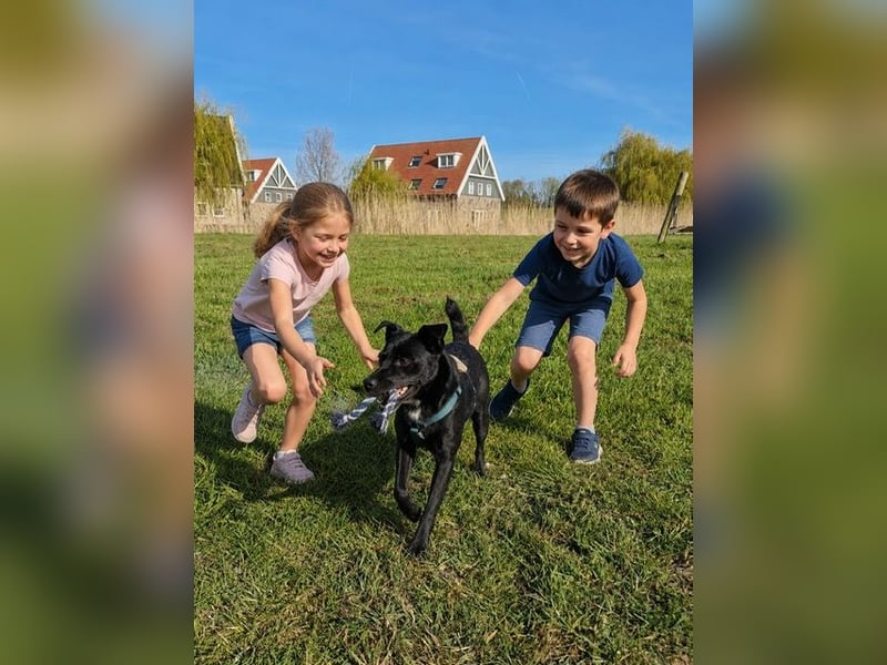 Noel - entzückendes Pinscher-Mix-Mädchen Pflegestelle 46240 Bottrop