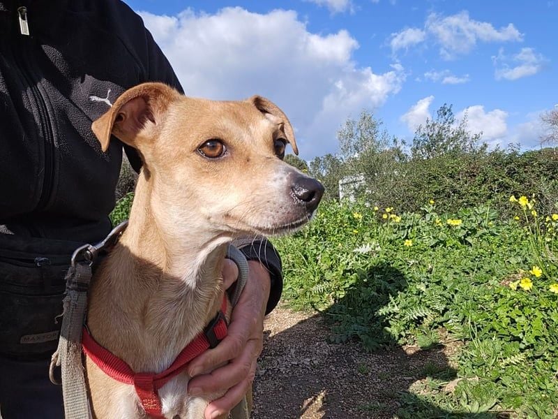 Mammola - ein sanftes Pflänzchen, die aufblühen möchte