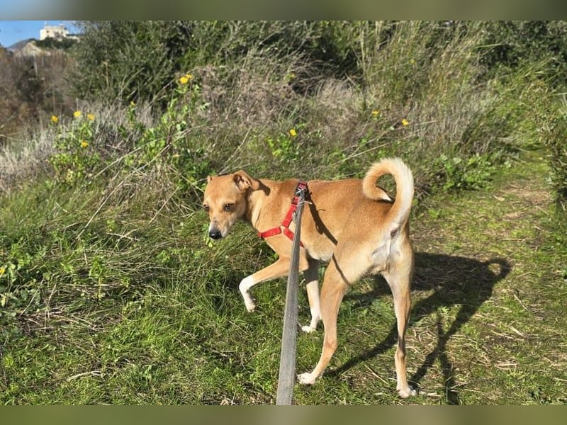 Mammola ist bereit für die großen Abenteuer