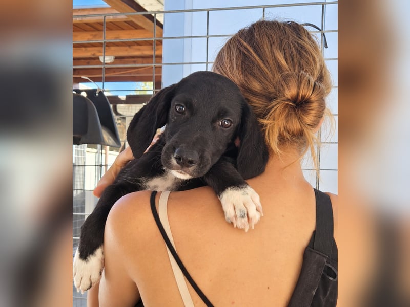 Marina: Kuschelmaus sucht Dich