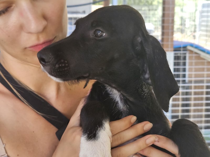 Marina: Kuschelmaus sucht Dich