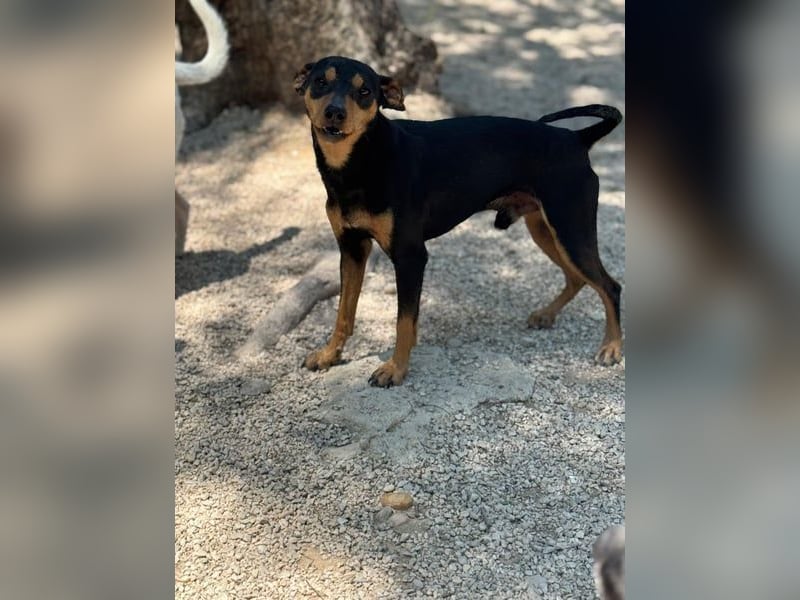 Raspa, muss noch Vertrauen fassen