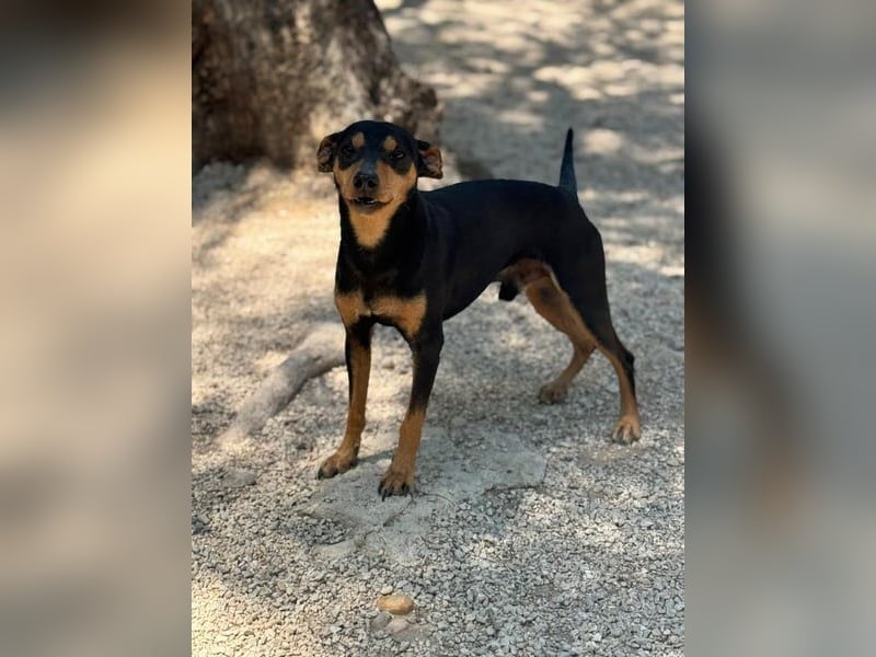 Raspa, muss noch Vertrauen fassen