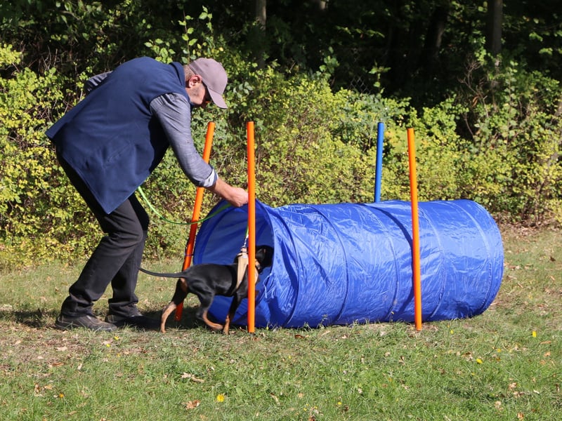 Aika sucht ein Zuhause