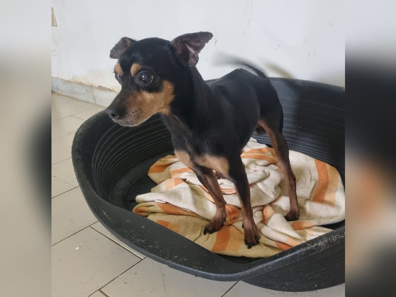 Coco