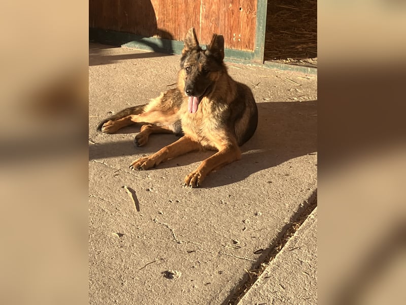 Tara - hat sie überhaupt noch eine Chance???