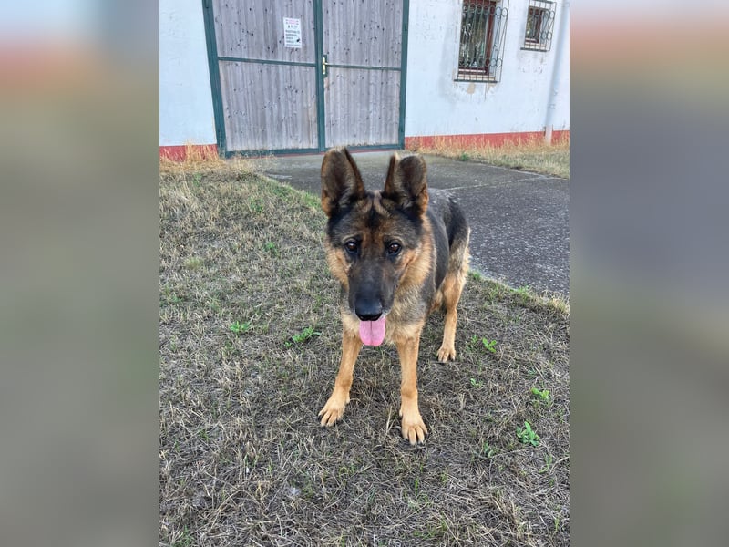 Tara - hat sie überhaupt noch eine Chance???