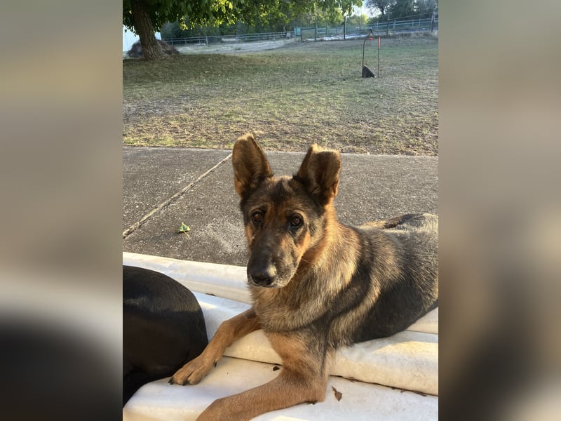 Tara - hat sie überhaupt noch eine Chance???