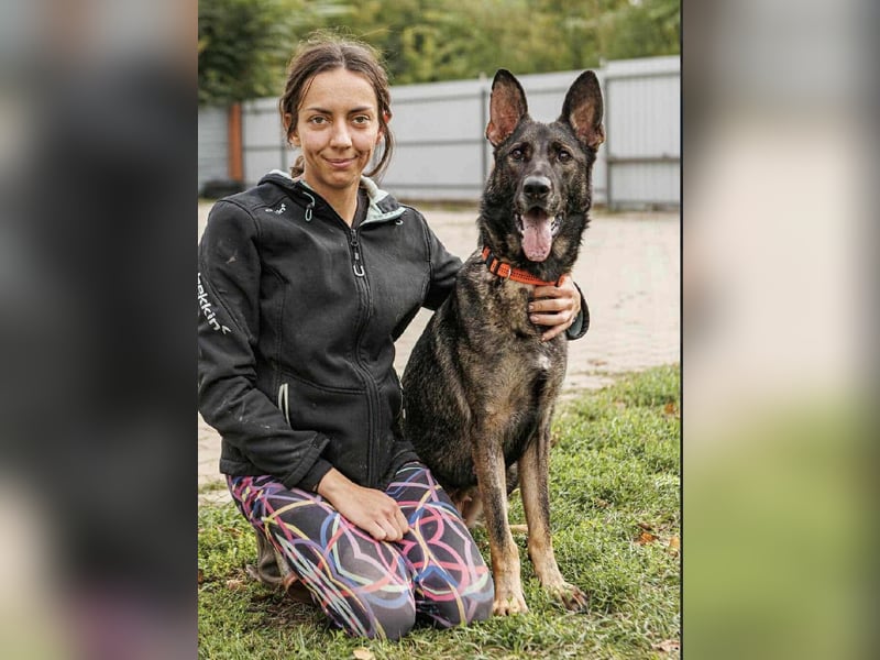 Lucky, 3 Jahre sucht aktives Zuhause
