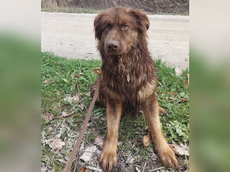 Yana möchte nur geliebt werden