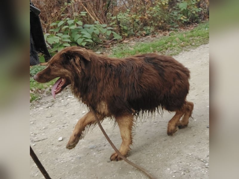 Yana möchte nur geliebt werden