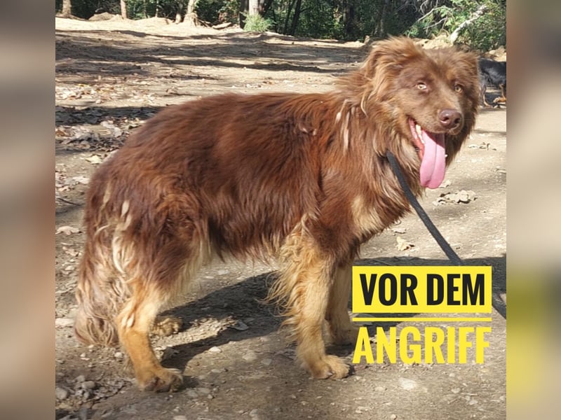 Yana möchte nur geliebt werden