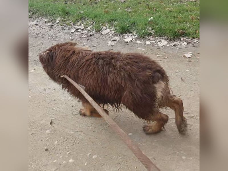 Yana möchte nur geliebt werden