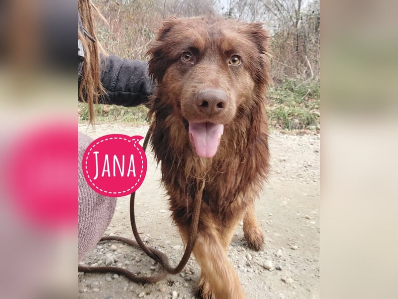 Yana möchte nur geliebt werden