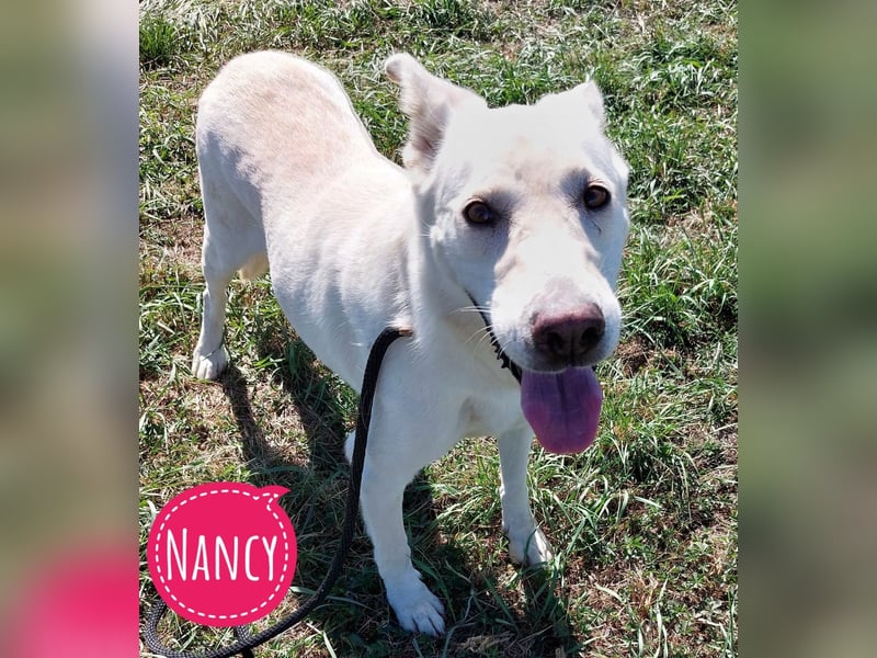 Nancy eine traurige Seele