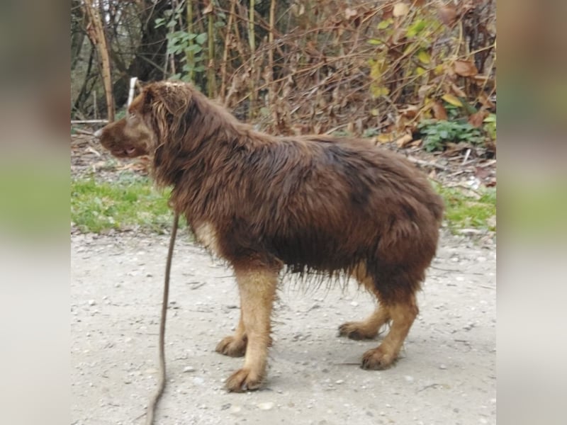 Yana möchte nur geliebt werden