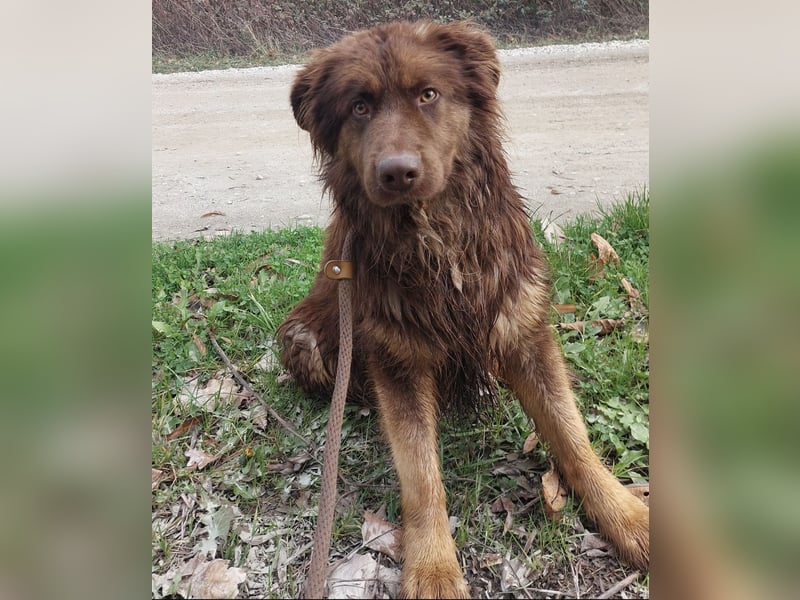 Yana möchte nur geliebt werden