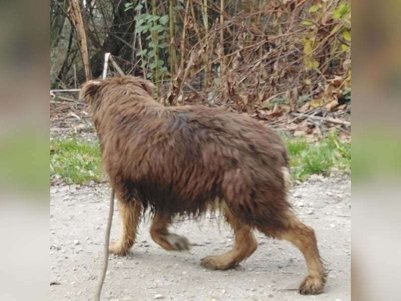 Yana möchte nur geliebt werden