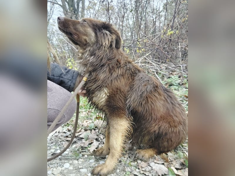 Yana möchte nur geliebt werden