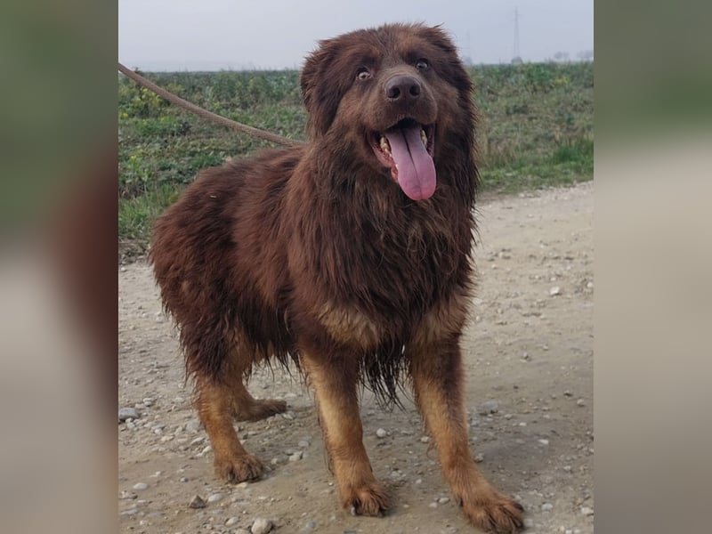 Yana möchte nur geliebt werden