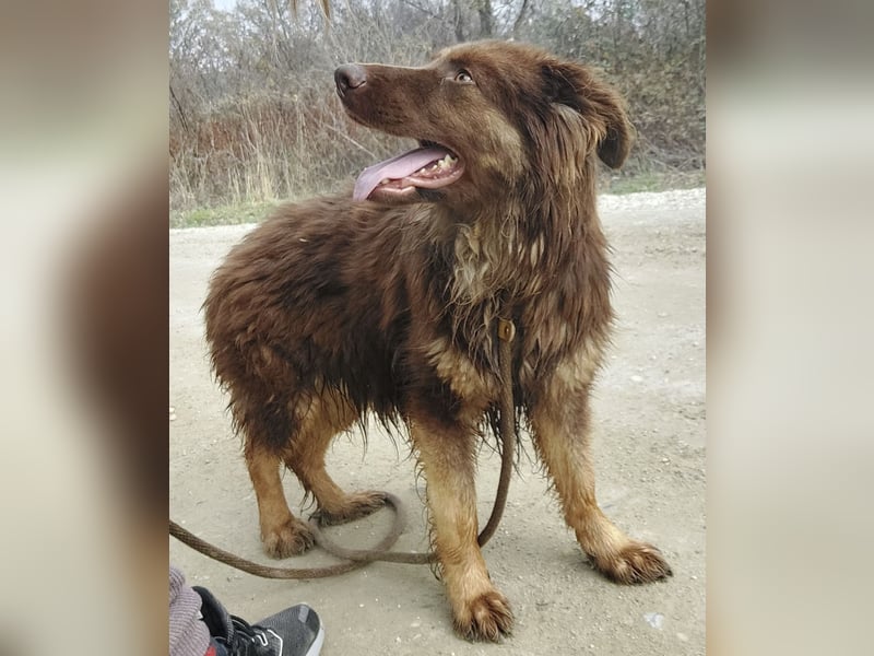 Yana möchte nur geliebt werden