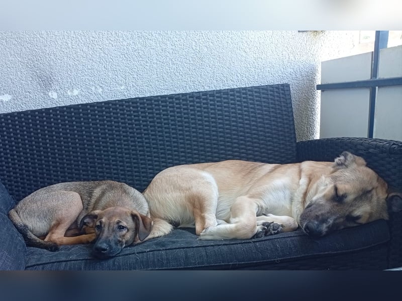Hurra, wir dürfen ausziehen!!!