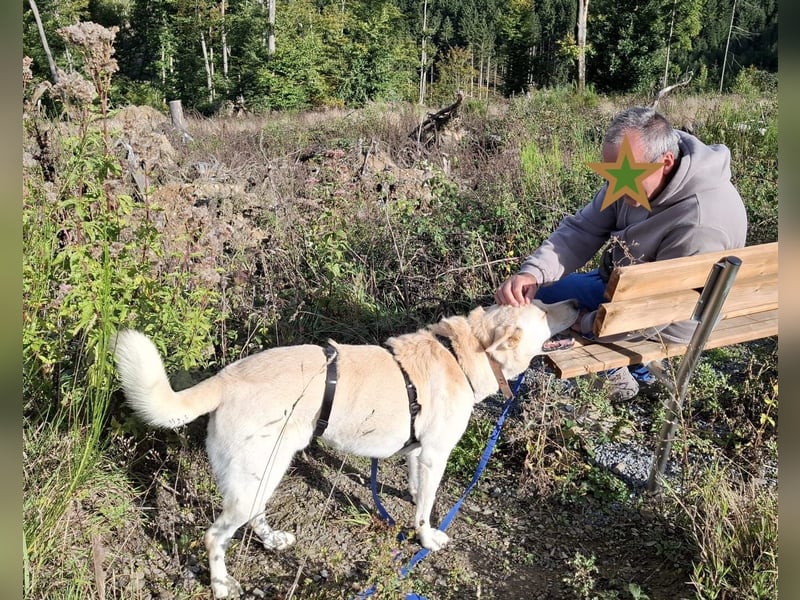 PUSCHKIN - Spaziergang ins Glück gesucht PUSCHKIN - Spaziergang ins Glück gesucht