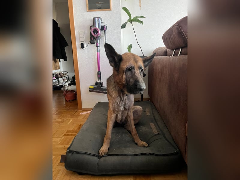 Lina: Mittendrin statt nur Dabei