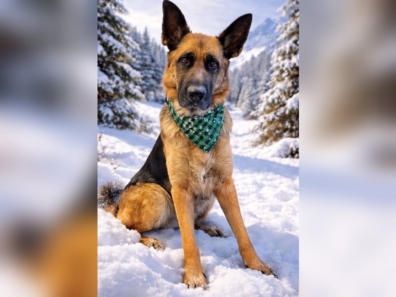 Lina: Mittendrin statt nur Dabei