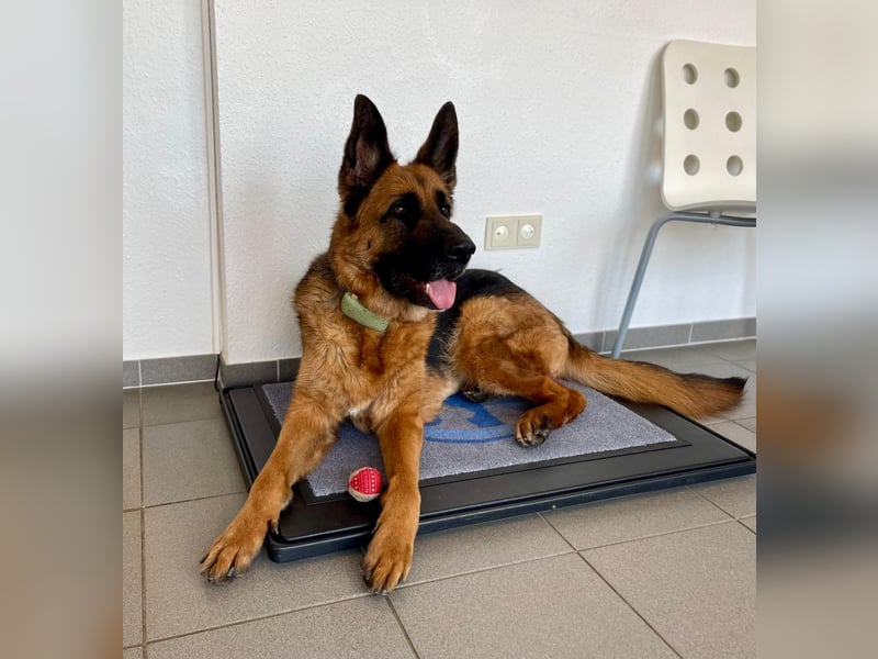 Lina: Mittendrin statt nur Dabei