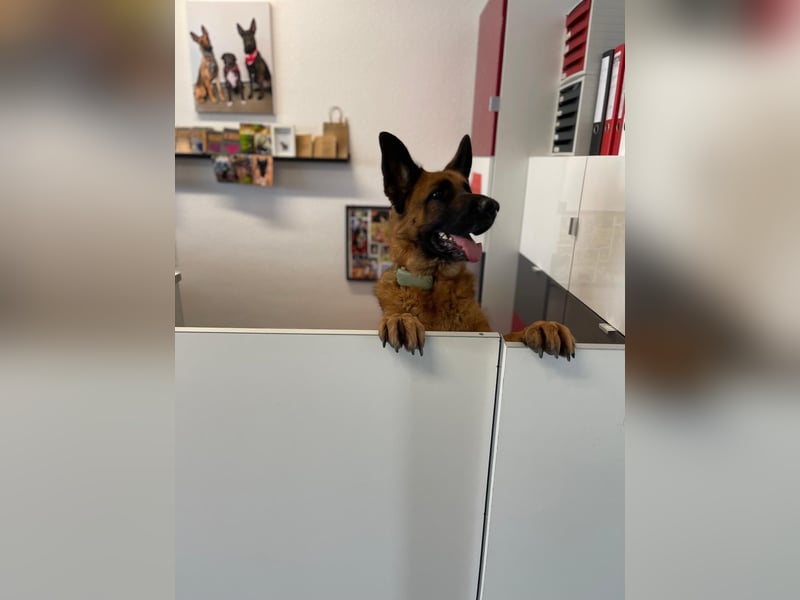 Lina: Mittendrin statt nur Dabei