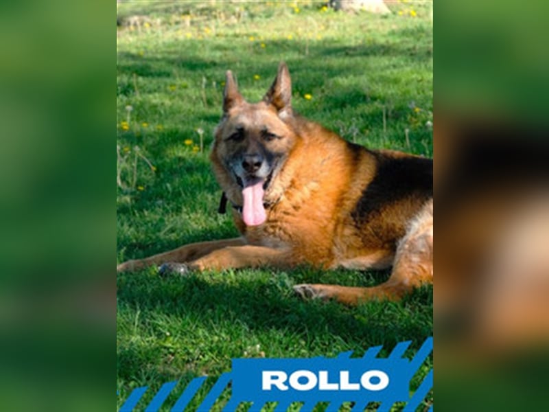Rollo
