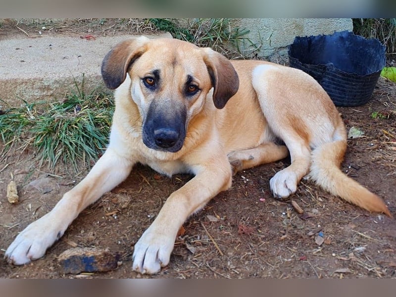 Irina wünscht sich ihre eigene Familie