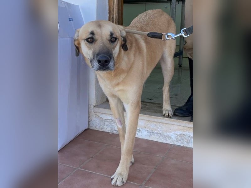 Irina wünscht sich ihre eigene Familie