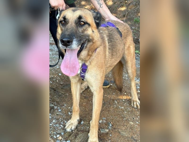 Dora geht mit dir durch dick & dünn