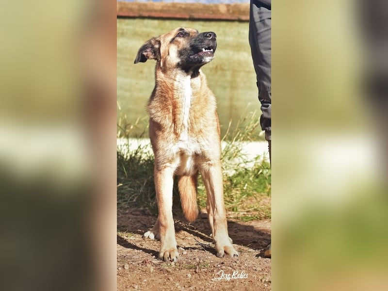 Dora geht mit dir durch dick & dünn