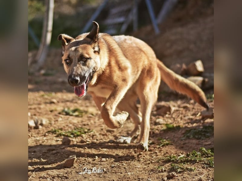Dora geht mit dir durch dick & dünn