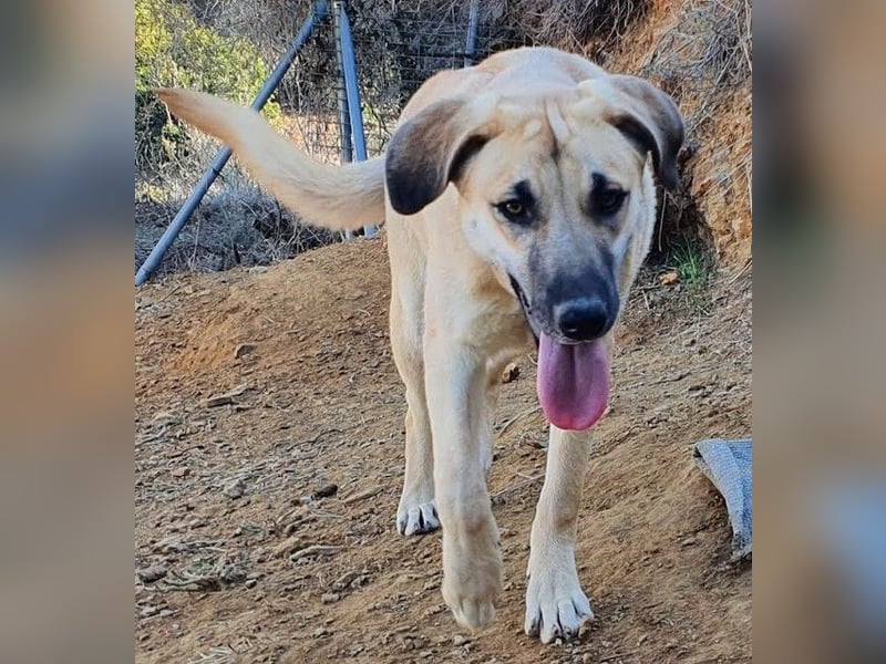 Irina wünscht sich ihre eigene Familie