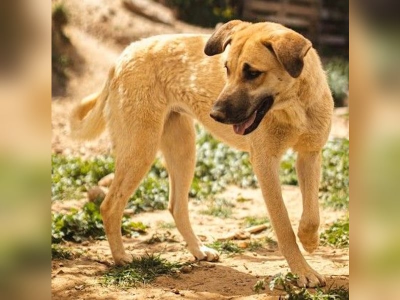 Irina wünscht sich ihre eigene Familie