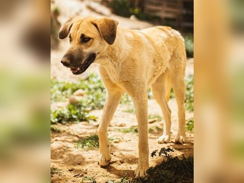 Irina wünscht sich ihre eigene Familie
