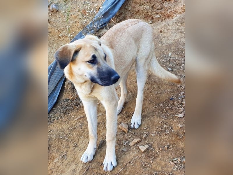 Irina wünscht sich ihre eigene Familie