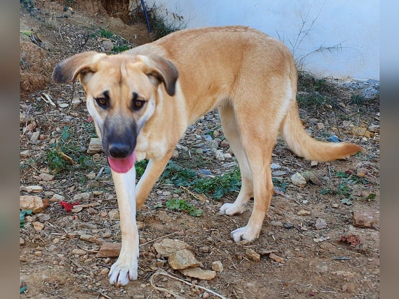 Irina wünscht sich ihre eigene Familie
