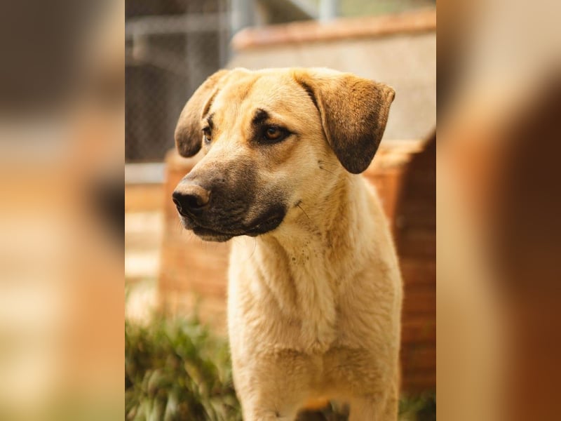 Irina wünscht sich ihre eigene Familie