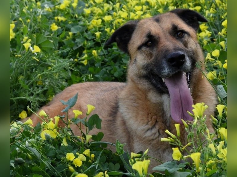 Dora geht mit dir durch dick & dünn