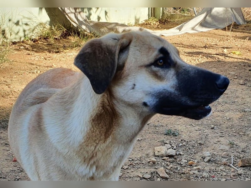 Irina wünscht sich ihre eigene Familie